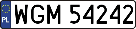 WGM54242