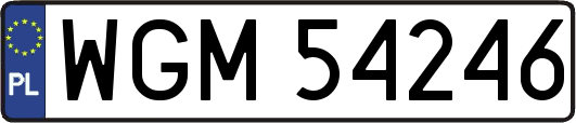 WGM54246