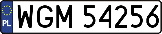 WGM54256