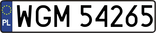 WGM54265