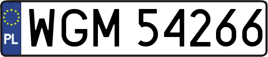 WGM54266