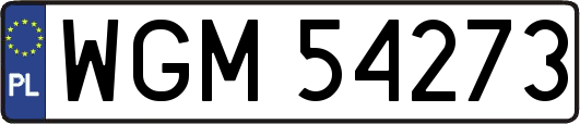 WGM54273
