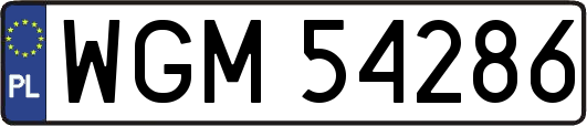 WGM54286