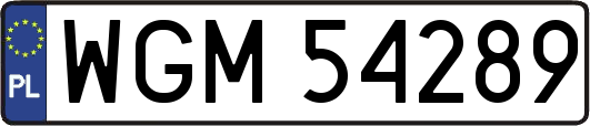 WGM54289
