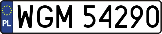 WGM54290