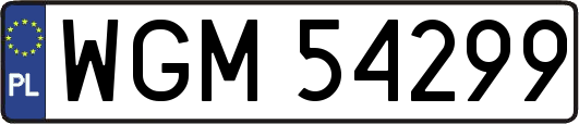 WGM54299
