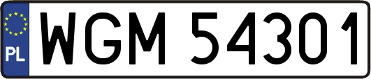 WGM54301