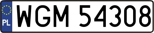 WGM54308