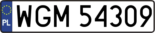 WGM54309