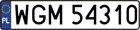 WGM54310