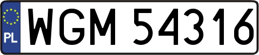 WGM54316