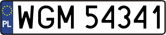 WGM54341