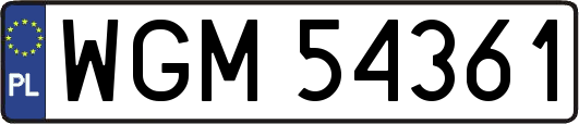 WGM54361