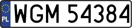 WGM54384