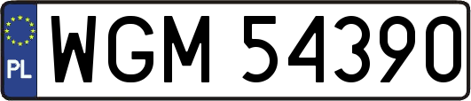 WGM54390