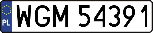 WGM54391