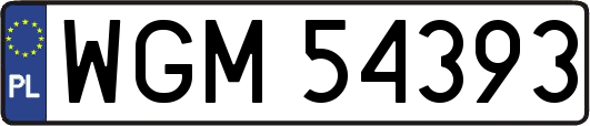 WGM54393