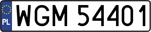 WGM54401