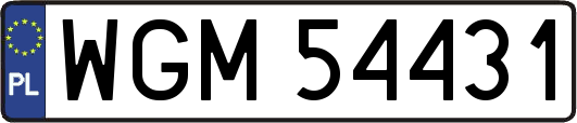 WGM54431
