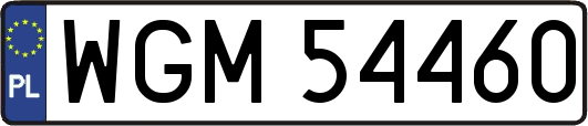 WGM54460