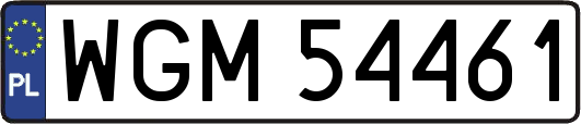 WGM54461