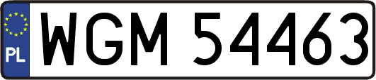 WGM54463