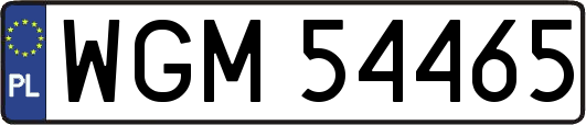 WGM54465