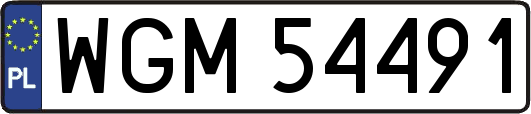 WGM54491