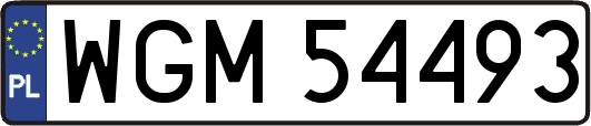 WGM54493