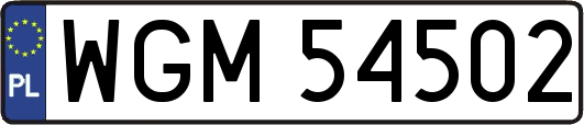 WGM54502