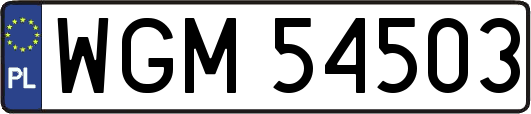 WGM54503