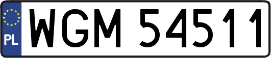 WGM54511