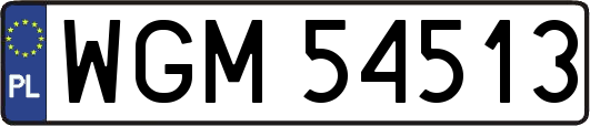 WGM54513
