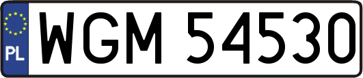 WGM54530