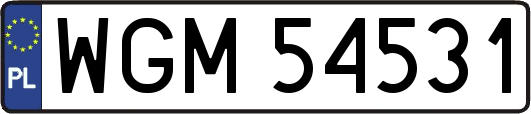 WGM54531