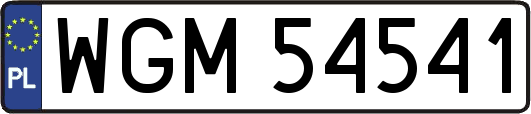WGM54541