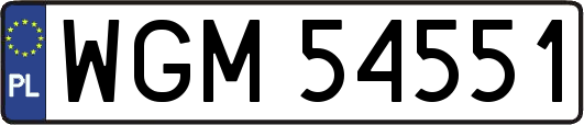 WGM54551
