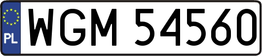 WGM54560