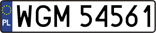 WGM54561