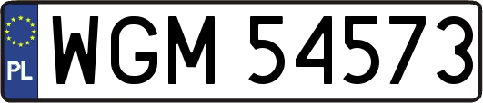 WGM54573