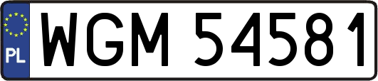 WGM54581