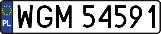WGM54591