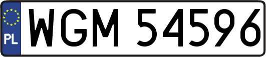 WGM54596