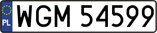 WGM54599
