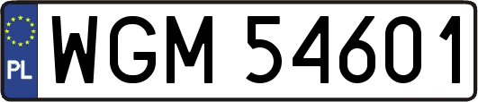 WGM54601