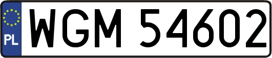 WGM54602