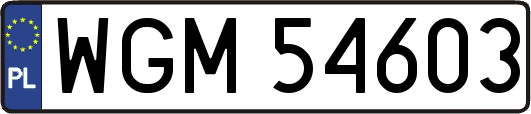 WGM54603