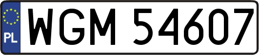 WGM54607