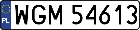 WGM54613