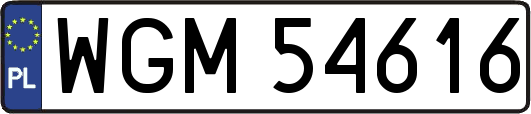 WGM54616